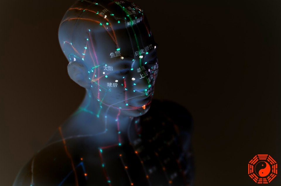 Image of the Meridians used in acupuncture and Chinese medicine