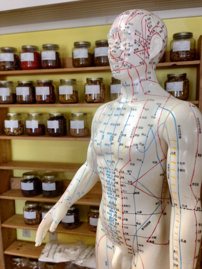 acupuncture, herbs, alternative-2308489.jpg