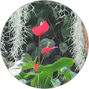 Louise Benoit-O'Connor profile picture